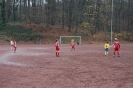 D Jugend vs. Fenerbahce_3