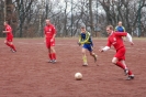 TSV Fortuna_4
