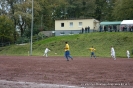 WSV_133