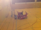 Milano Cup 2010 