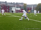 tsv_10