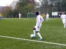tsv_12