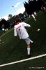 tes_11