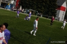 tes_42